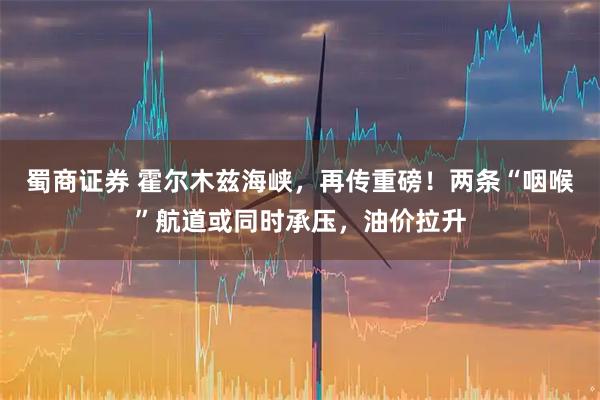 蜀商证券 霍尔木兹海峡，再传重磅！两条“咽喉”航道或同时承压，油价拉升